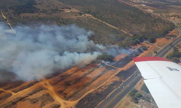 O mais atual levantamento do Corpo de Bombeiros mostra que de 1º de janeiro a 3 de setembro, o total de áreas queimadas no DF foi superior a 7,2 mil hectares