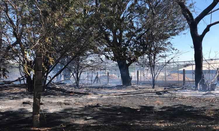 Uma área de vegetação, na entrada do Sudoeste, pegou fogo no início da tarde