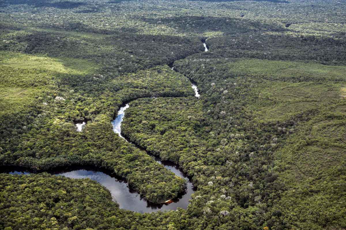 Floresta amazônica