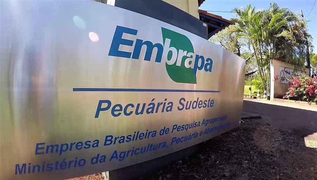 Empresa de consultoria foi contratada para ajudar no processo