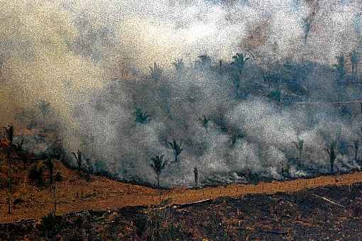 Estado decretou situação de emergência. Porta-voz do governo afirma que chuva e força-tarefa reduziram focos de queimadas