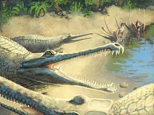 Restos eram de espécie de crocodilo extinta, o Mystriosaurus laurillardi