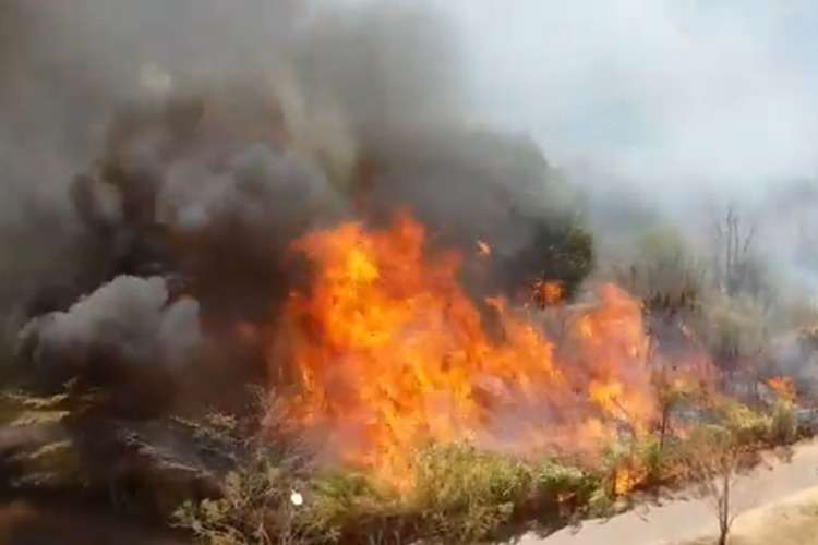 Fogo se alastra e bombeiros continuam combate pela tarde