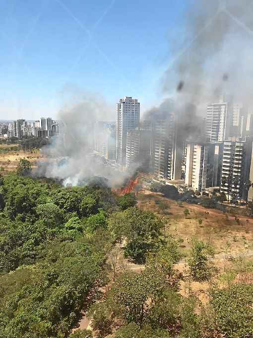 Incêndio no Parque de Águas Claras: 38 hectares devastados pelo fogo