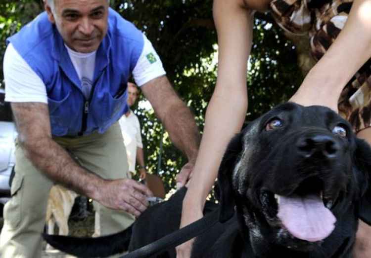 Gatos e cachorros com mais de três meses devem ser imunizados