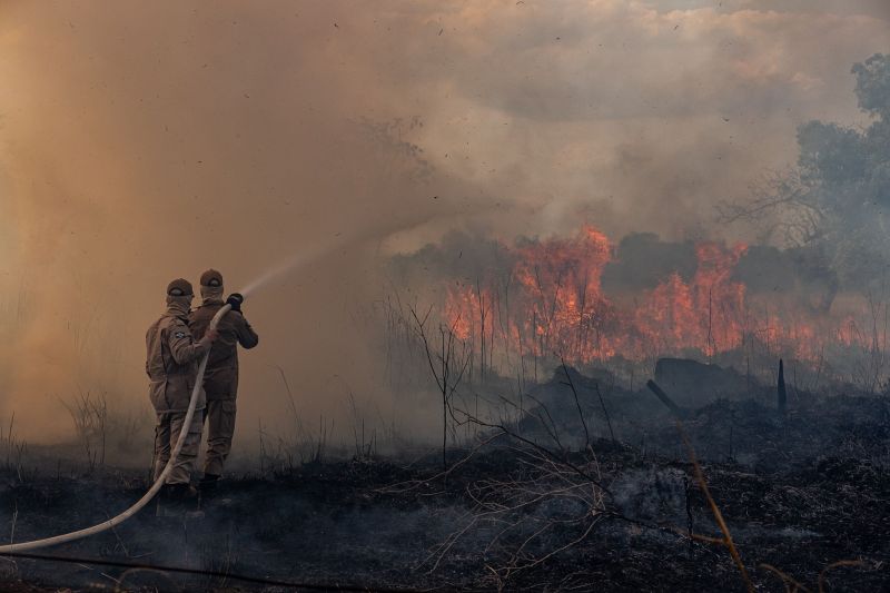 Bombeiros combatem incêndio florestal em Mato Grosso