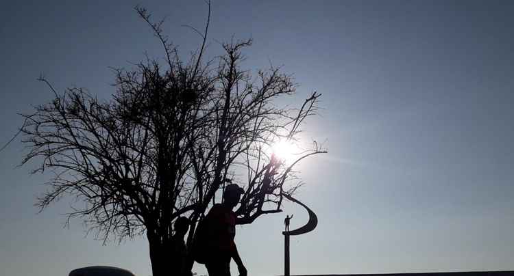 O céu fica limpo e com poucas nuvens no DF