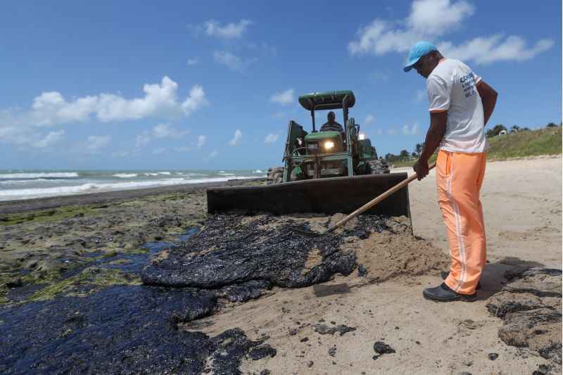 Funcionários limpam praia atingida pelo óleo em Alagoas