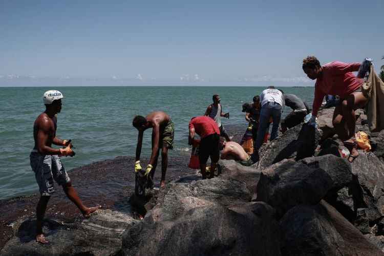 Para cientistas, os voluntários que entraram no mar sem qualquer proteção correm  sérios riscos