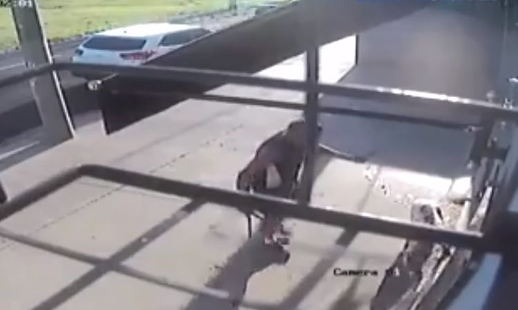 imagens de segurança de um homem com facão em mãos - (foto: Reprodução/YouTube) imagens de segurança de um homem com facão em mãos - (foto: Reprodução/YouTube)