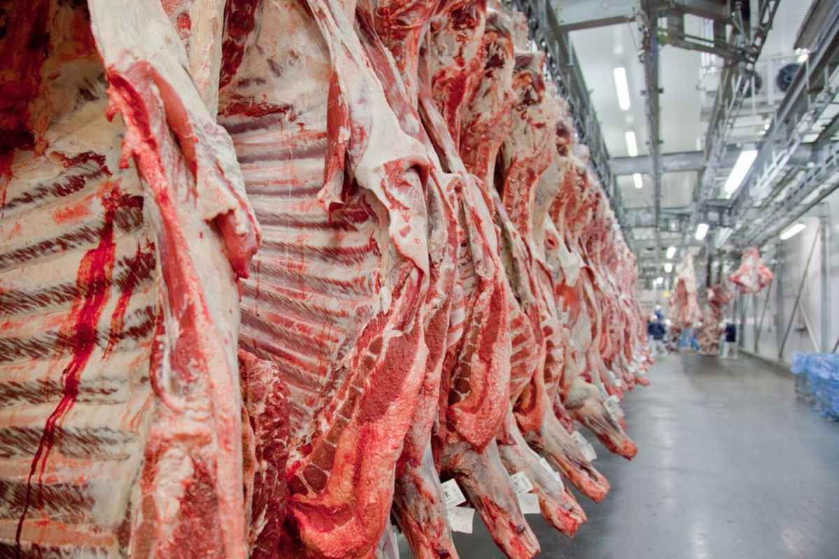 Em 2018, as exportações de produtos agropecuários brasileiros para a Arábia Saudita rendeu US$ 1,7 bilhão - (foto: Agência Brasil/Arquivo) Em 2018, as exportações de produtos agropecuários brasileiros para a Arábia Saudita rendeu US$ 1,7 bilhão - (foto: Agência Brasil/Arquivo)