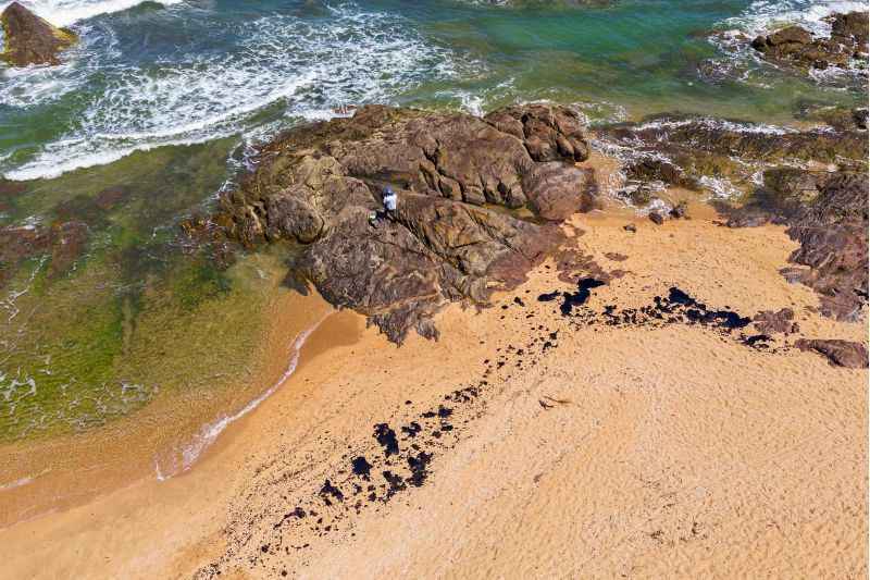 óleo nas praias - (foto: Mateus Morbeck/AFP) óleo nas praias - (foto: Mateus Morbeck/AFP)