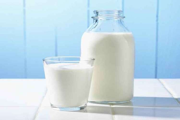 guia de alimentação para crianças - (foto: Reprodução/Internet) guia de alimentação para crianças - (foto: Reprodução/Internet)