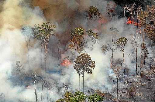 A publicação lembrou que o presidente brasileiro, Jair Bolsonaro,  amenizou os incêndios e os atribuiu a ONGs