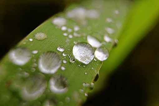 A vegetação determina em boa parte o quanto de água é mantida no solo