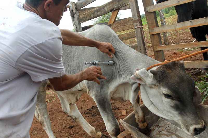 A Ãºltima revisÃ£o das normas sobre febre aftosa ocorreu em 2007