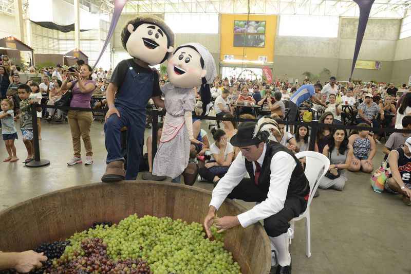 Homem enchendo bacia de madeira com uvas para fazer vinho