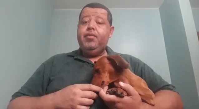 O cachorrinho, chamado Golias, precisa de dois exames para auxiliar no diagnÃ³stico de uma inflamaÃ§Ã£o na cabeÃ§a. Ele estÃ¡ sofrendo com tonturas e perda de forÃ§a