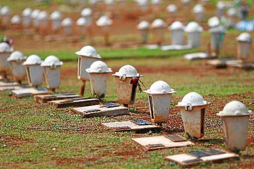 Homenagens serÃ£o limitadas a duas horas, alÃ©m de 30 minutos do cortejo