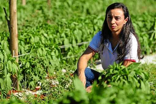 Administradora da cooperativa Cooper-Horti, MÃ¡rcia Aparecida lamenta o momento: 