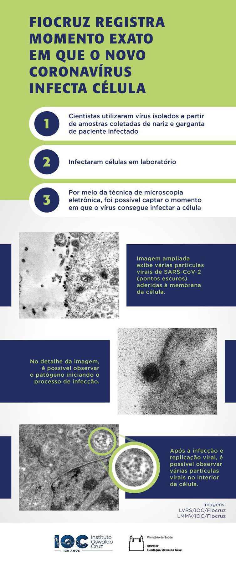 Imagens foram captadas em estudo sobre a replicaÃ§Ã£o do vÃ­rus