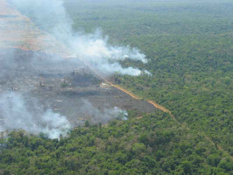 Queimada na floresta AmazÃ´nica