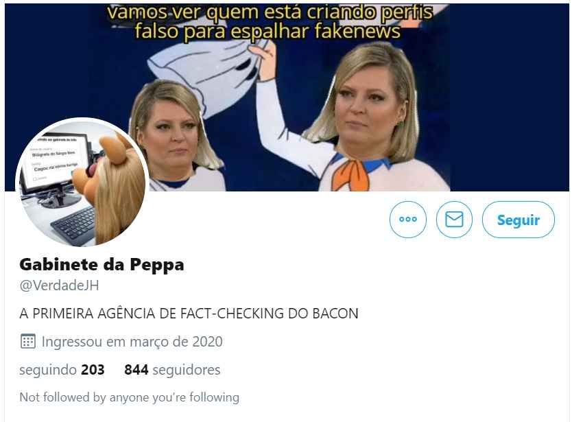 Deputada federal se defendeu em seu Twitter dizendo que nÃ£o pede que sejam criados perfis falsos, mas sim oficiais, para defendÃª-la de ataques