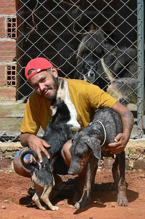 Na chÃ¡cara onde Jaciel Dias mora, 134 cÃ£es aguardam para serem adotados: mais de 40 resgatados sÃ³ durante a pandemia