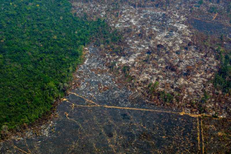 Ãrea de desmatamento na AmazÃ´nia: alvo de aÃ§Ã£o de grileiros, que podem ser beneficiados pela MP 910