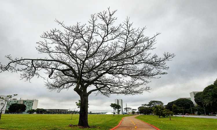 O cÃ©u fica de nublado a parcialmente nublado com nevoeiro ou nÃ©voa Ãºmida ao amanhecer