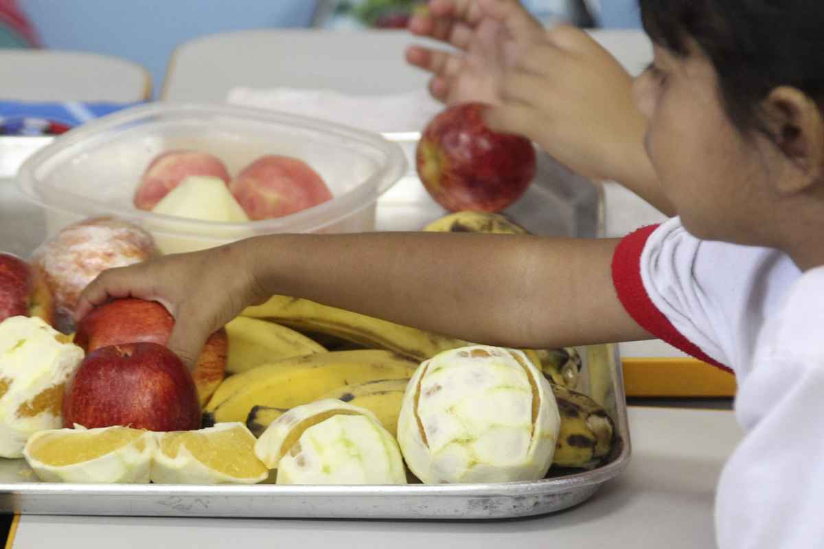 Cerca de 20 mil crianÃ§as de atÃ© 5 anos sÃ£o beneficiadas pelo programa Bolsa AlimentaÃ§Ã£o Creche