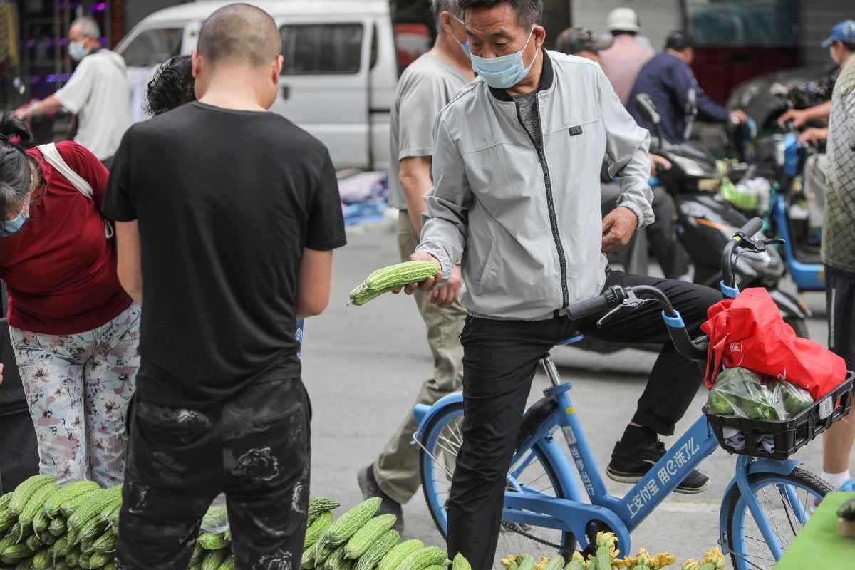 Para sobreviver, os mais vulnerÃ¡veis propÃµem comida, roupas, brinquedos ou atÃ© coelhos vivos nas ruas