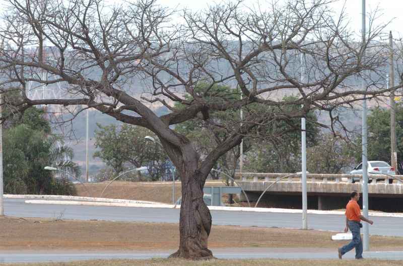 Temperatura mÃ­nima foi de 9ÂºC no inÃ­cio da manhÃ£. MÃ¡xima serÃ¡ de 29ÂºC