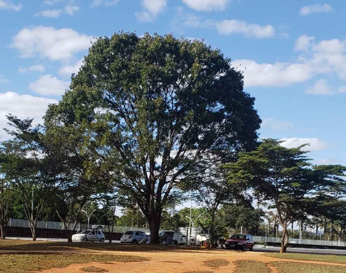 Manifestantes se reÃºnem em estacionamento prÃ³ximo a PraÃ§a dos TrÃªs Poderes