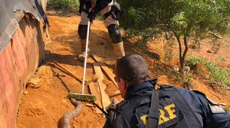 Policiais rodoviÃ¡rios realizaram o resgate da jiboia, que foi liberta em habitat natural