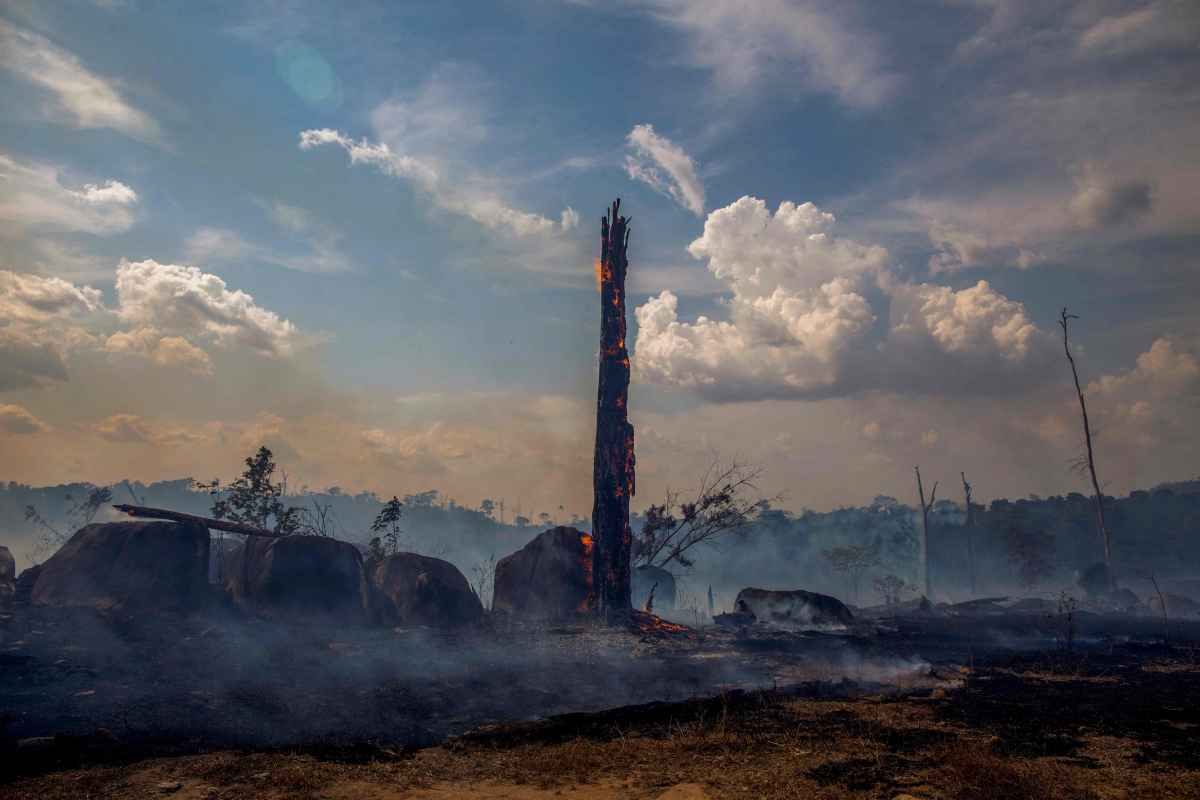 AmazÃ´nia