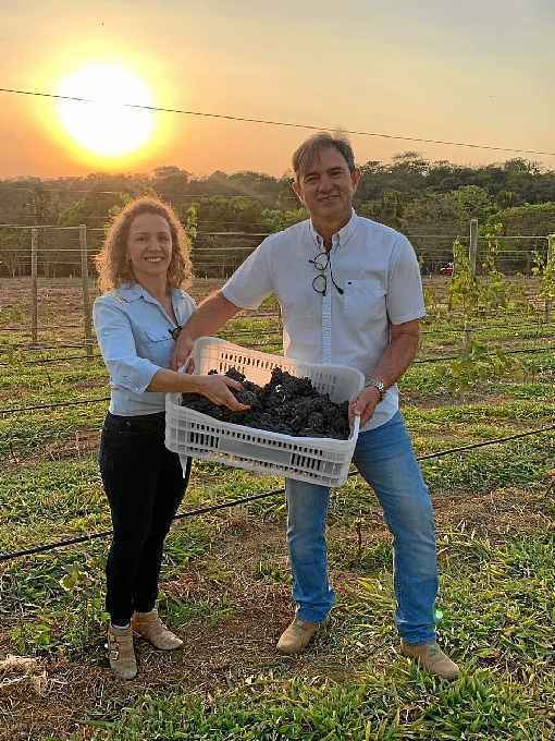 Ronaldo Triacca e a mulher, Ana Cenci: produÃ§Ã£o pioneira no Distrito Federal