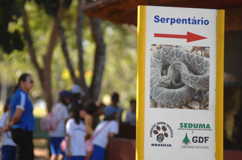 Aluno de veterinÃ¡ria segue internado em UTI; cobra foi capturada nesta quarta-feira no PÃ­er 21, em BrasÃ­lia. O que se sabe atÃ© agora sobre o caso