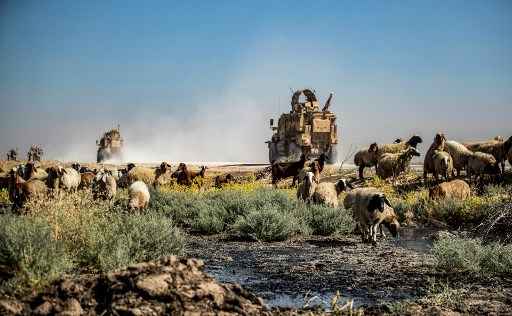 VeÃ­culo militar dos EUA passa por ovelhas pastando e bebendo de um cÃ³rrego poluÃ­do por um derramamento de Ã³leo perto da vila de Sukayriyah, na zona rural ao sul de Rumaylan (Rmeilan), na provÃ­ncia de Hasakeh, nordeste da SÃ­ria, controlada pelo curdo, na SÃ­ria, em 19 de julho de 2020.