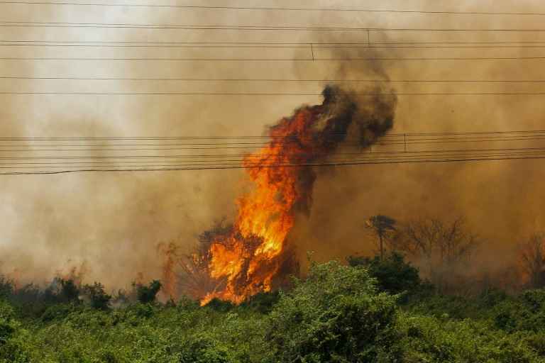 O secretÃ¡rio de meio ambiente Jaime Verruck disse que o estado precisa do apoio de aeronaves para combater os grandes focos de incÃªndio que se propagam sem controle