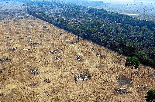 Executivos querem aval Ã  agenda de desenvolvimento sustentÃ¡vel