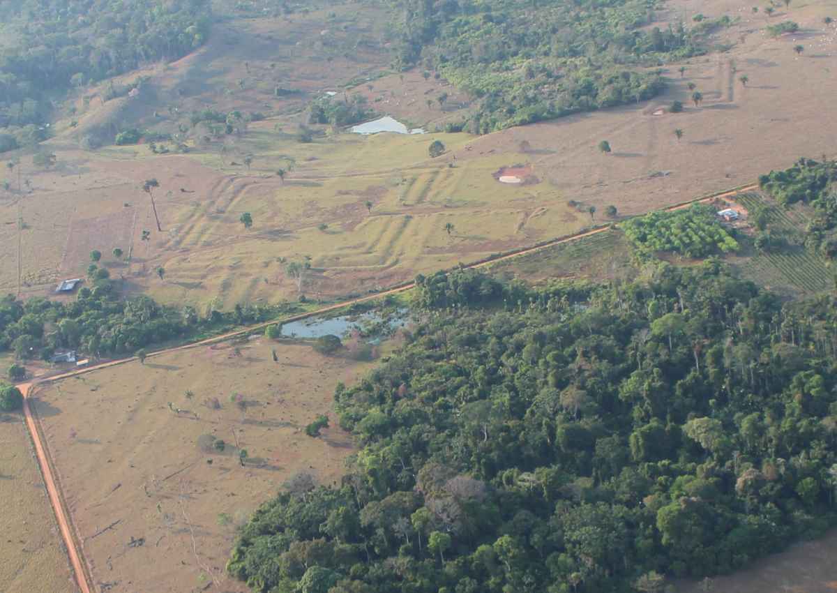 AmazÃ´nia