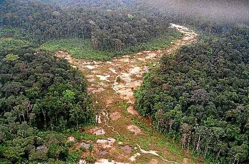 Ãrea desmatada na AmazÃ´nia brasileira: autores defendem uma gestÃ£o do uso da terra que considere a saÃºde global