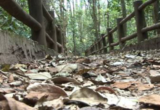 Assaltantes estão agindo nas trilhas da Água Mineral