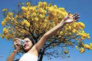 A estudante Ana Carolina Ferreira faz fotos de algumas árvores que colorem a paisagem da UnB